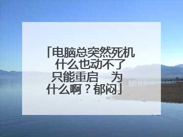 电脑总突然死机 什么也动不了 只能重启 为什么啊?郁闷