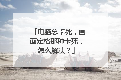 电脑总卡死,画面定格那种卡死,怎么解决?