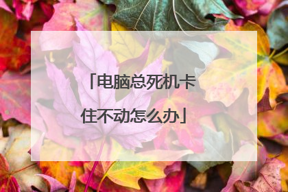 电脑总死机卡住不动怎么办