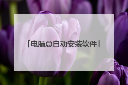 电脑总自动安装软件