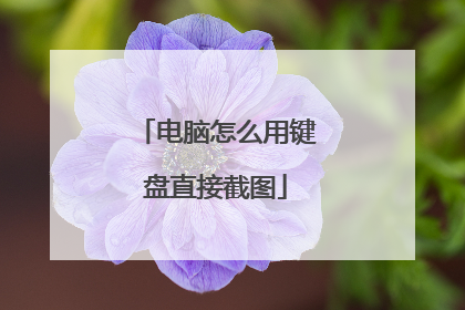 电脑怎么用键盘直接截图