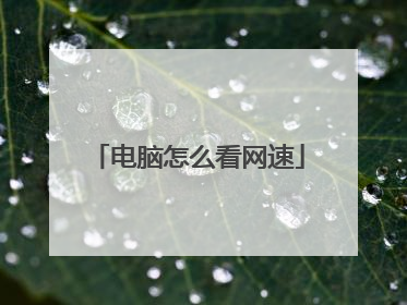 电脑怎么看网速