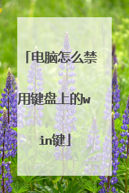 电脑怎么禁用键盘上的win键