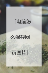 电脑怎么保存网页图片