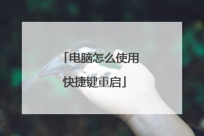 电脑怎么使用快捷键重启