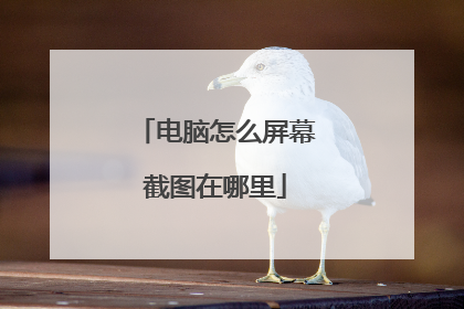 电脑怎么屏幕截图在哪里
