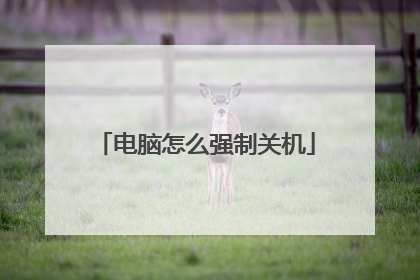 电脑怎么强制关机