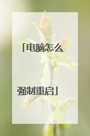 电脑怎么强制重启