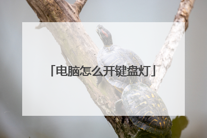 电脑怎么开键盘灯