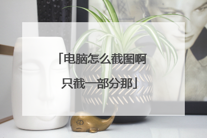 电脑怎么截图啊 只截一部分那