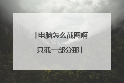 电脑怎么截图啊 只截一部分那