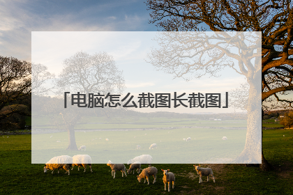 电脑怎么截图长截图