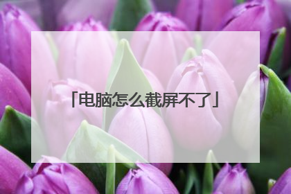 电脑怎么截屏不了