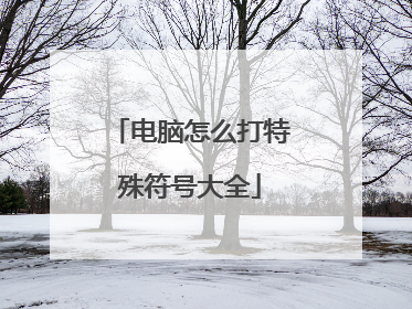 电脑怎么打特殊符号大全