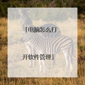 电脑怎么打开软件管理