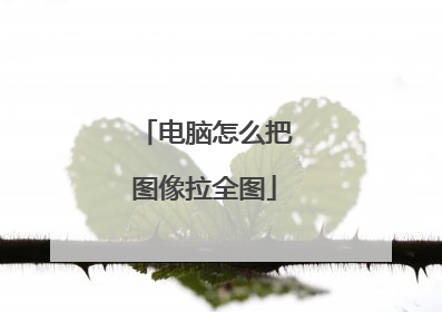 电脑怎么把图像拉全图