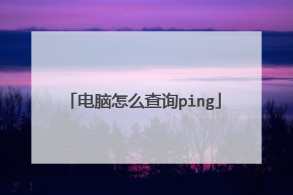 电脑怎么查询ping