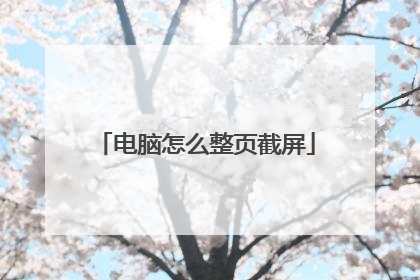 电脑怎么整页截屏