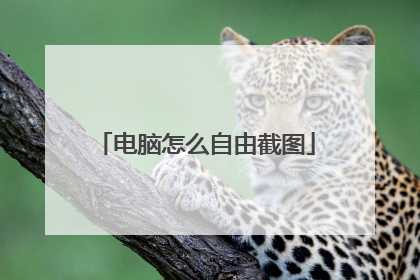 电脑怎么自由截图