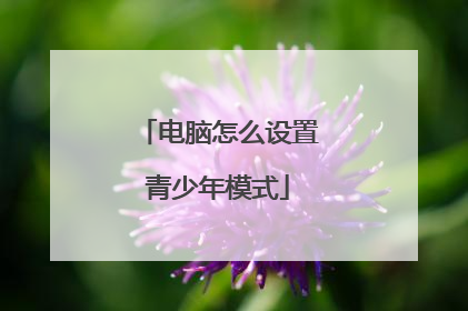 电脑怎么设置青少年模式