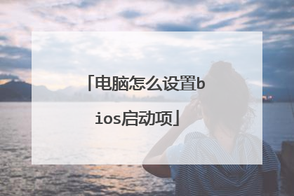 电脑怎么设置bios启动项