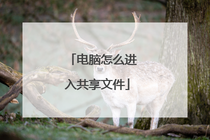 电脑怎么进入共享文件