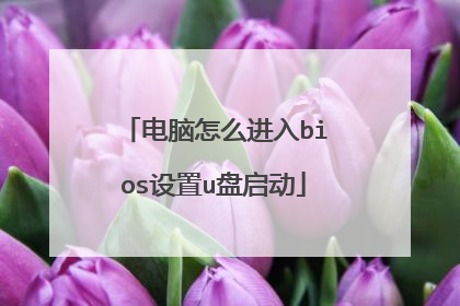 电脑怎么进入bios设置u盘启动