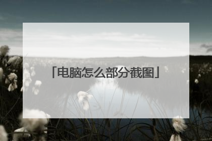 电脑怎么部分截图