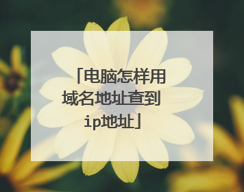 电脑怎样用域名地址查到ip地址