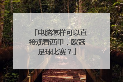 电脑怎样可以直接观看西甲，欧冠足球比赛？