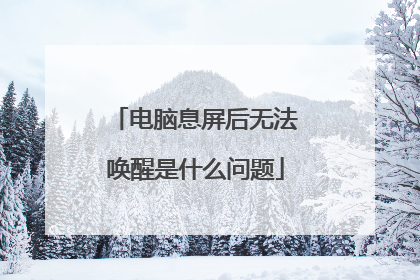 电脑息屏后无法唤醒是什么问题