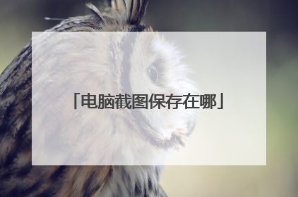 电脑截图保存在哪