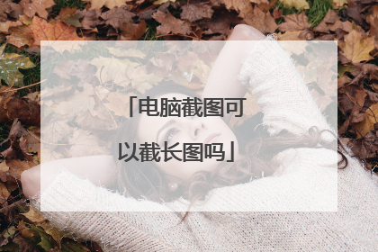 电脑截图可以截长图吗