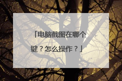 电脑截图在哪个键？怎么操作？