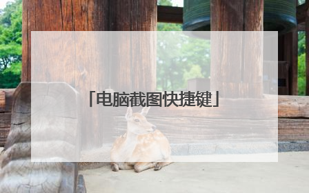 电脑截图快捷键