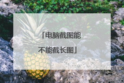电脑截图能不能截长图