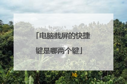 电脑截屏的快捷键是哪两个键