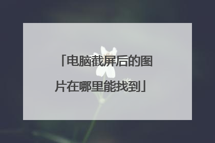 电脑截屏后的图片在哪里能找到