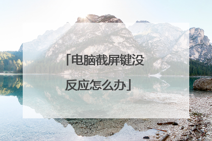 电脑截屏键没反应怎么办