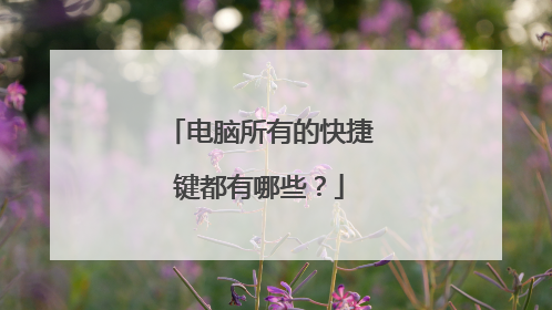 电脑所有的快捷键都有哪些?