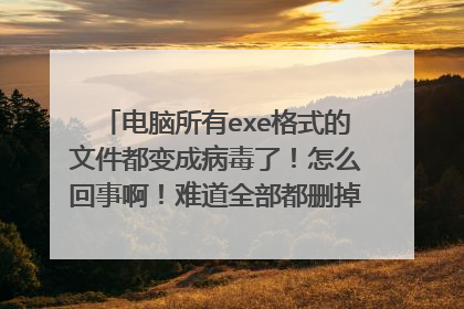 电脑所有exe格式的文件都变成病毒了!怎么回事啊!难道全部都删掉吗?总共100多gb啊!我下载了很久的!