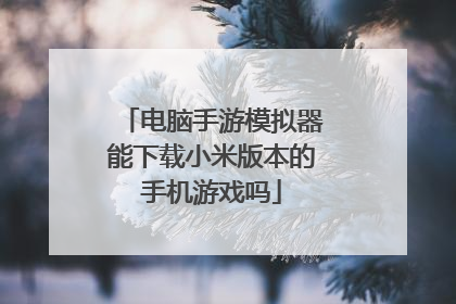 电脑手游模拟器能下载小米版本的手机游戏吗