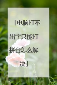 电脑打不出字只能打拼音怎么解决