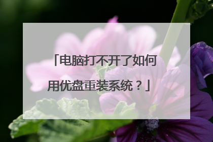 电脑打不开了如何用优盘重装系统?
