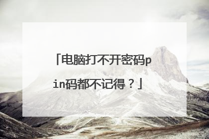 电脑打不开密码pin码都不记得?