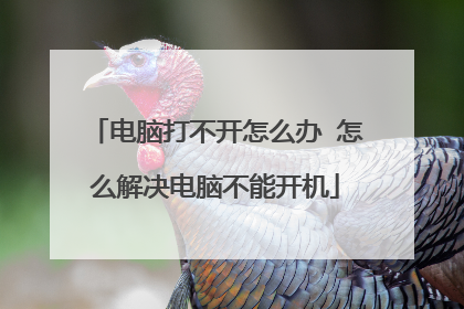 电脑打不开怎么办 怎么解决电脑不能开机