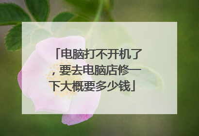 电脑打不开机了,要去电脑店修一下大概要多少钱