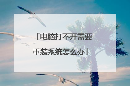 电脑打不开需要重装系统怎么办