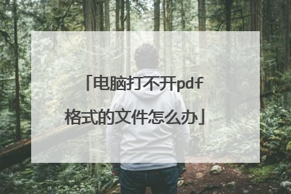 电脑打不开pdf格式的文件怎么办