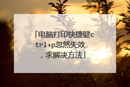 电脑打印快捷键ctrl+p忽然失效,求解决方法